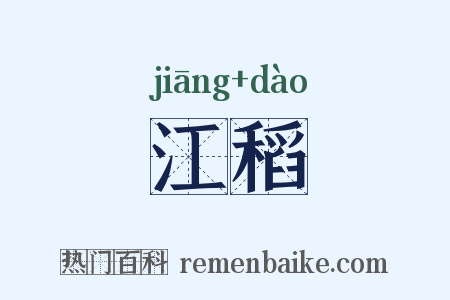 江稻是什么意思的图片